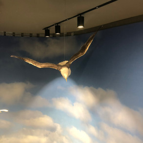 img_4875.jpeg