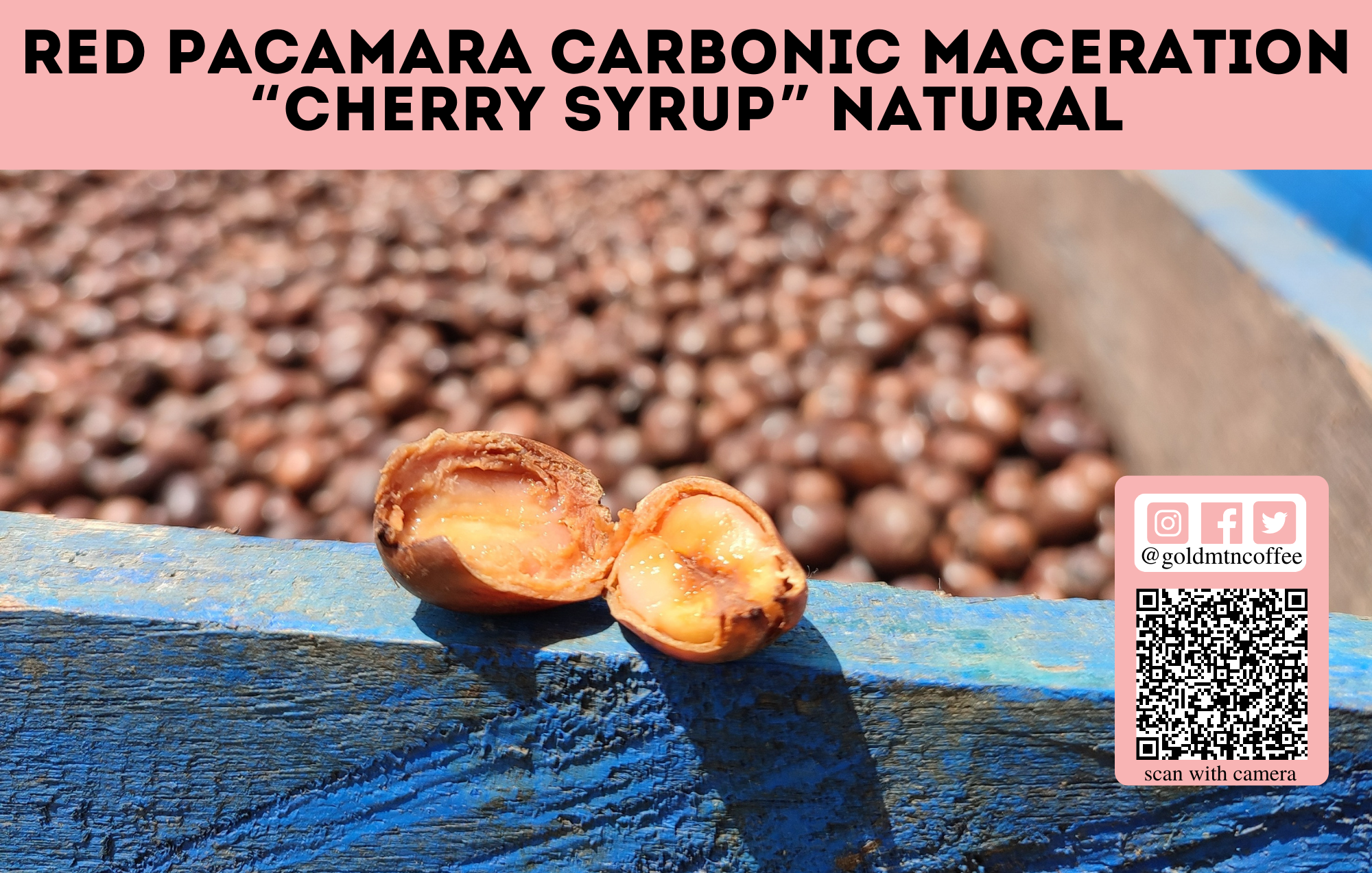Red Pacamara Carbonic Maceration "Cherry Syrup" Natural