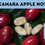 Thumbnail: Pacamara Apple Notes