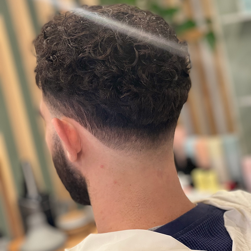 Curly top with low drop fade, back view