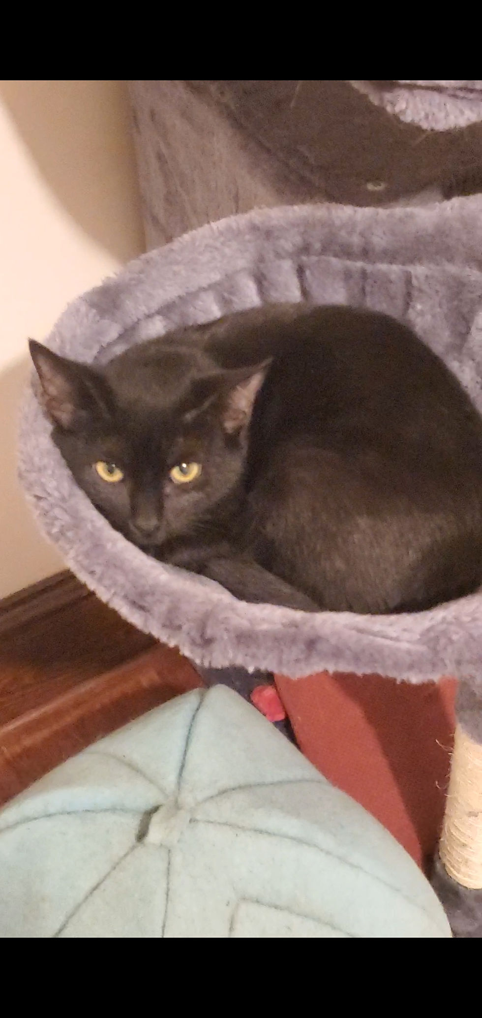 Love being curled up such a pretty young lady