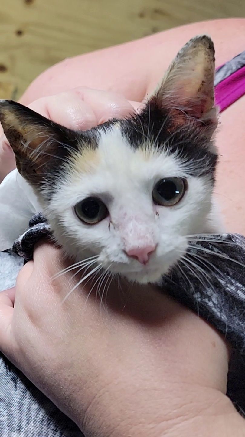 vlcsnap-2025-09-28-16h54m41s136_edited