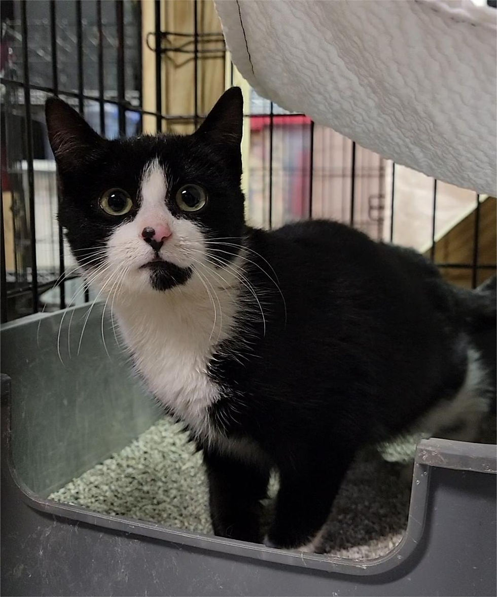 Screenshot_20251213_185306_Gallery