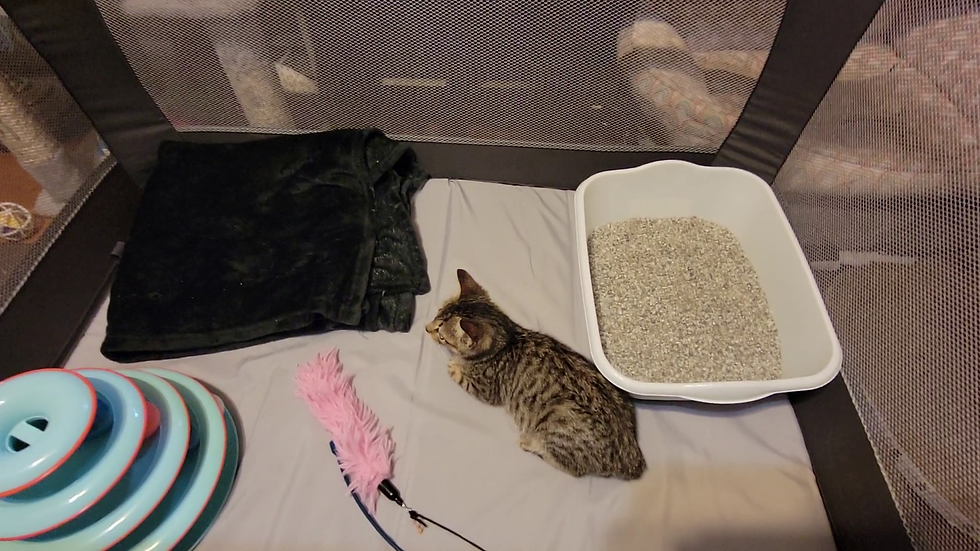 vlcsnap-2025-10-28-14h51m04s666