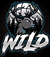 Wild_edited.jpg