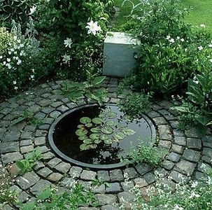 WaterPond1A