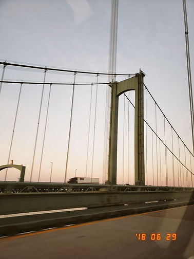Film birdge.jpg