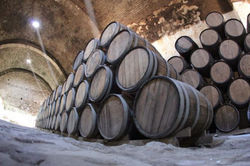 mezcal-proyecto.jpg