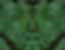 CedarMirrorGr1 copy.jpg