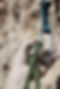 Climber clipping a quickdraw carabiner for fast, secure response — symbolizing cybersecurity teams moving quickly while staying anchored in process and control.