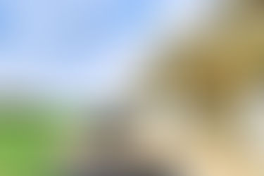 New Virtual Tour on OpenHouse.Tours