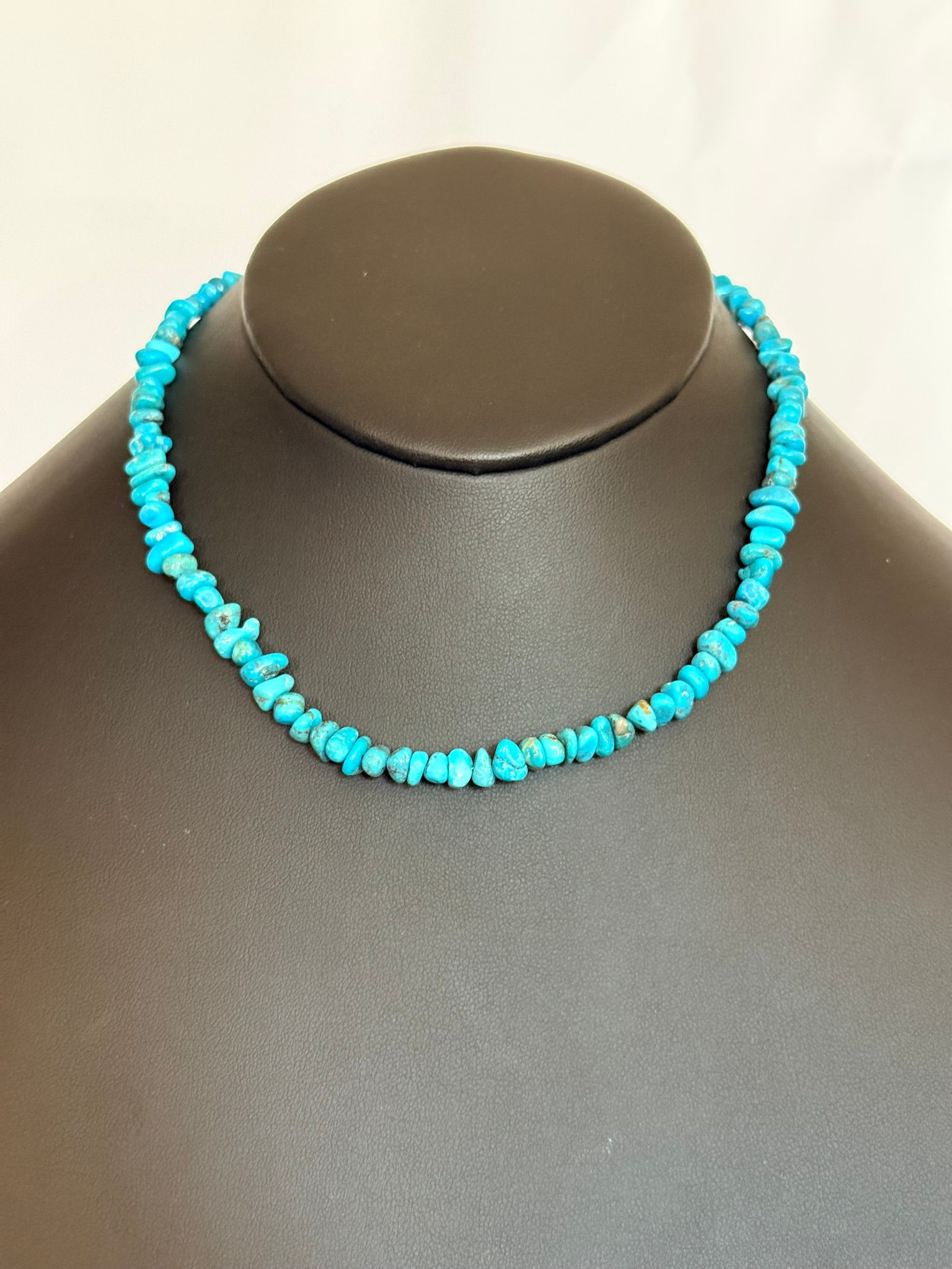 Single Strand Turquoise Necklace