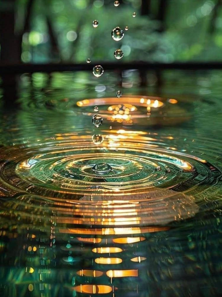 Water droplets making ripples with golden reflections
