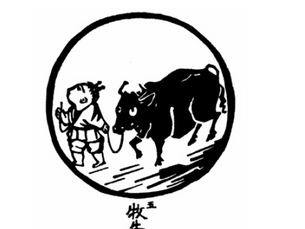 La doma del bou. Cinquena etapa. Domar al bou.