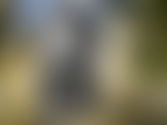 “Charles Berner i les Diades. El descobriment interior mitjançant la comunicació conscient”