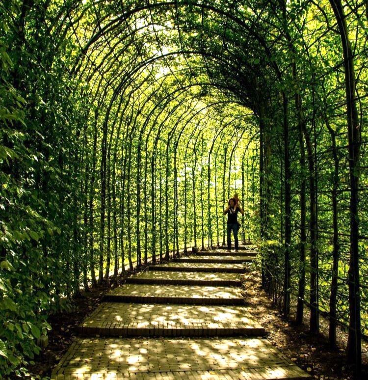 11 cites de la vida quotidiana per establir la teva perspectiva cada matí en 1 minut