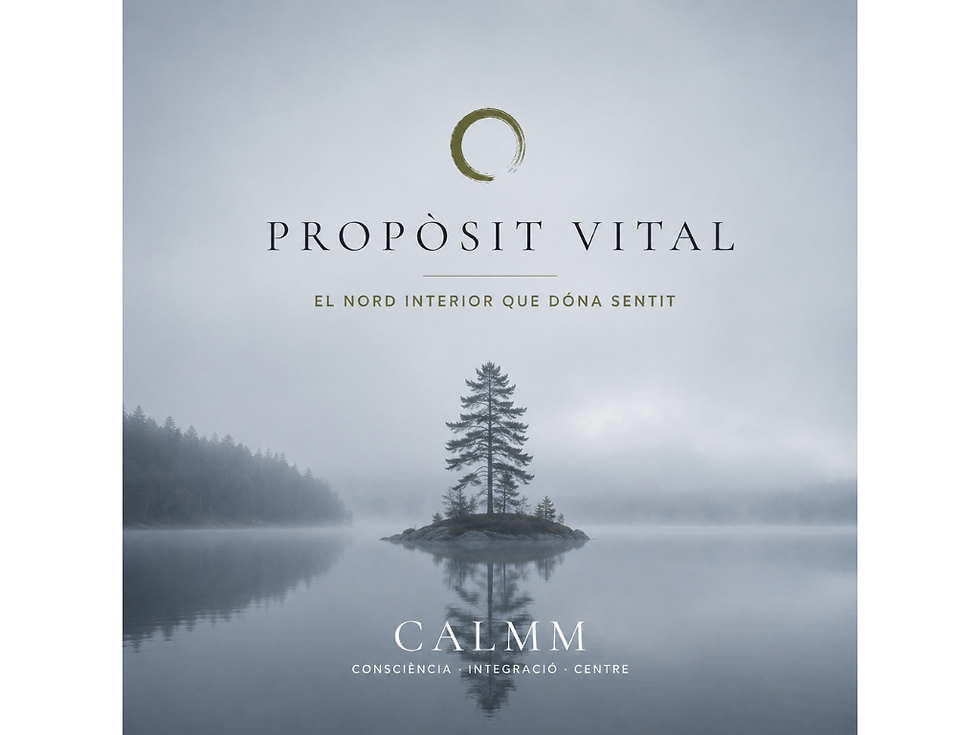 Etapa Calmm 2 - Propòsit vital: Com puc trobar un propòsit més elevat?