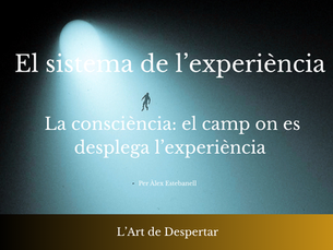 El sistema de l'experiència 4 - La consciència :  l’espai on tot apareix + infografia 