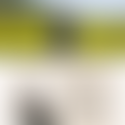 작은예수선교회 소식지 #2