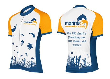 Cycle Jersey Design Group 20