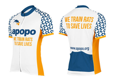 Cycle Jersey Design Group 10