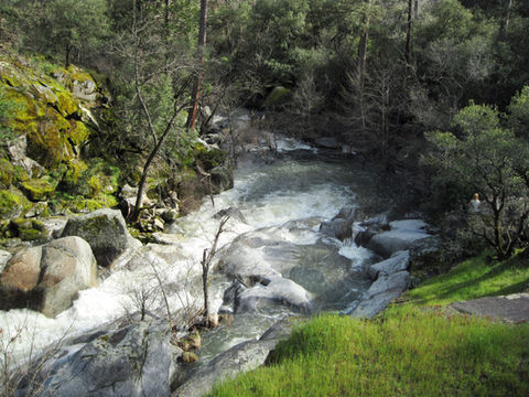 lower swimming hole 4.jpg