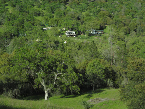 overviews 15.jpg
