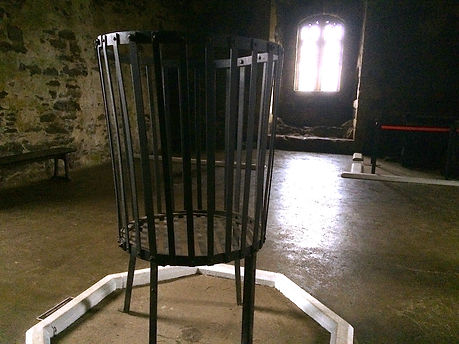 fire cage.jpg