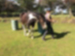 IMG_2701.jpeg