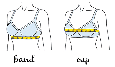 Bra Size Guide