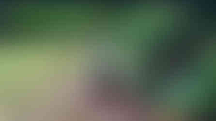 Jackson Collapse (Edit Lajos), Murder in Tiergarten - video performance, 2020, Berlin