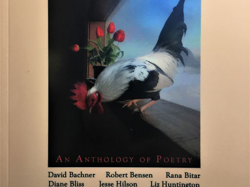 Seeing Things an Anthology of Poetry Revelations | An Early Drive to Work | Crush | Letting Go