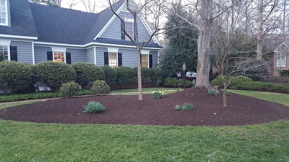 Gallery Mulch N More PROS