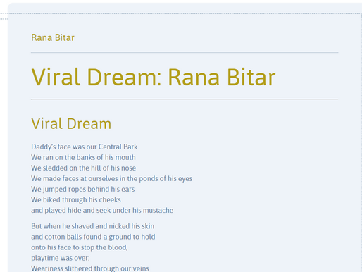 Beltway Poetry Quarterly Fall 2020 - Issue 21:4Viral Dream