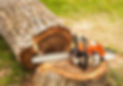 professional-grade-chainsaw-next-to-felled-tree.jpg