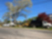 IMG_5294.jpeg