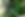 pruning-rule-of-thirds-for-shrubs-3269526-hero-b09072328c11465cbb3ac5870f3e890e.jpg