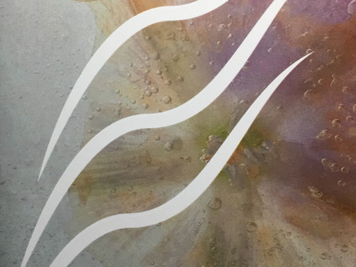 The Phoenix Issue 61, 2020 Letting Go