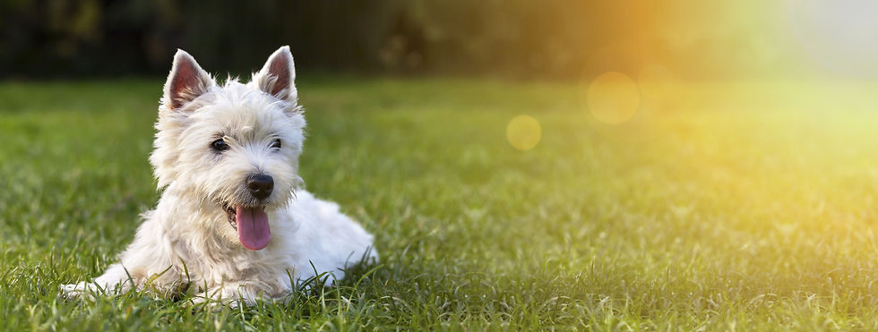 AdobeStock_129584968.jpeg