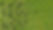 gg-lawn-aeration-1c.jpg