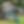 457468047_1135095691484260_3582116915819737467_n.jpg