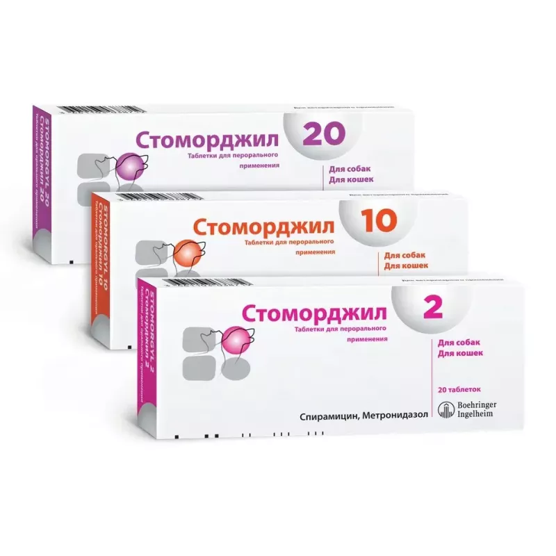 Стоморджил антибиотик стоматологический