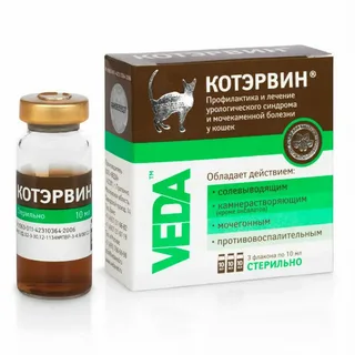 КотЭрвин .webp