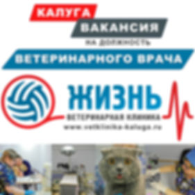 Вакансия на должность ветеринарного врач