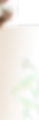 About Jean Liang.png