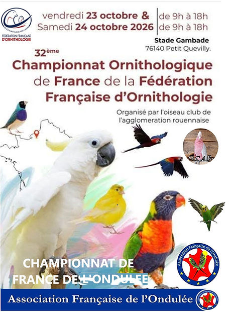 AFFICHE provisoire.jpg