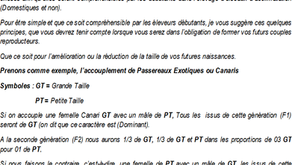 GESTION DE LA TAILLE DES OISEAUX