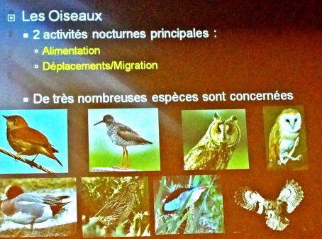 Nature, Protection, Sauvegarde, Biodiversité