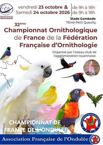 AFFICHE provisoire.jpg