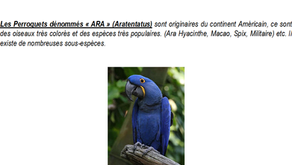 NOS BECS CROCHUS